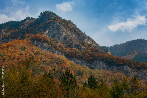 Magnificent autumn carpet in The Rhodope montains  Bulgaria