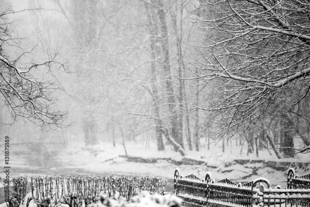 Fototapeta premium Winter landscape in the park