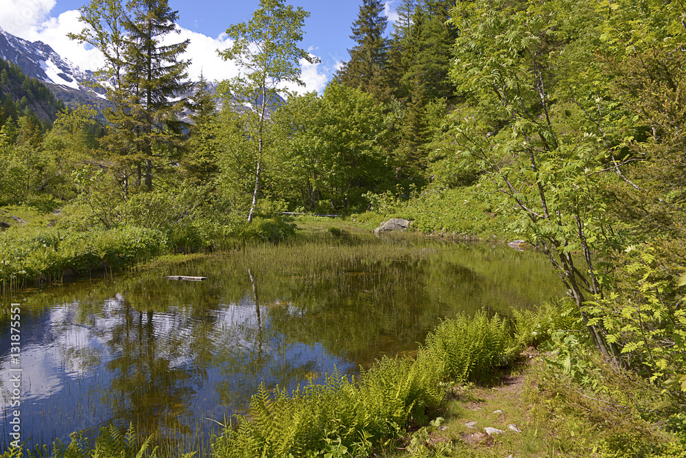 Pond in Mountain pass of Montets (elevation 1,461 m) near of Chamonix in the French Alps in the Haute-Savoie department of France. Pond in Mountain pass of Montets (elevation 1,461 m) near of Chamonix in the French Alps in the Haute-Savoie department of France.