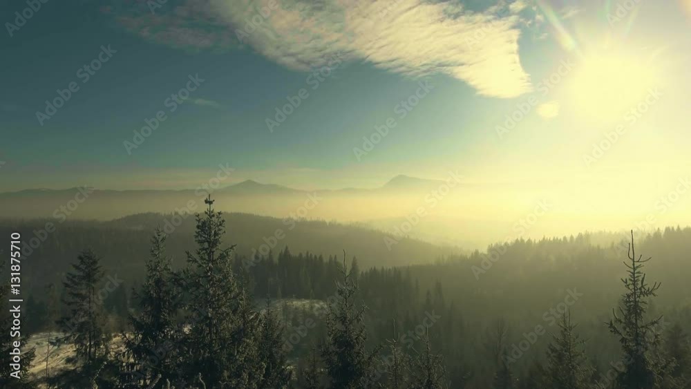 flying over a winter forest in the mountains flying over a winter forest in the mountains
