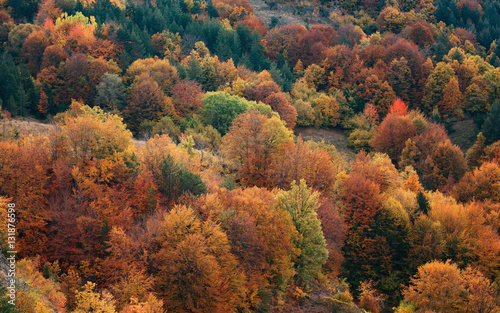 Autumn landscape around the village of Borovo, Rhodope mountains, Bulgaria