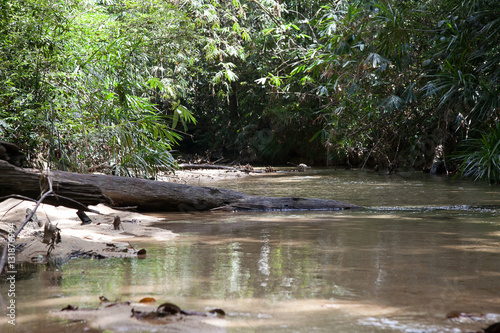 Wallpaper Mural River Torontodigital.ca