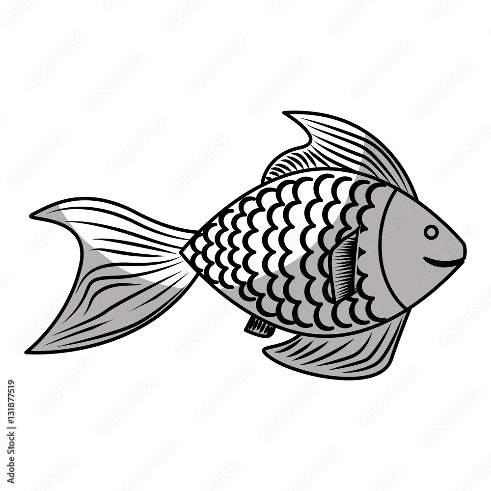 sea fish icon over white background. vector illustration