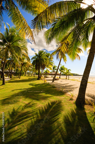 Fototapeta Naklejka Na Ścianę i Meble -  Beach on Fiji - Viti Levu - Oceania