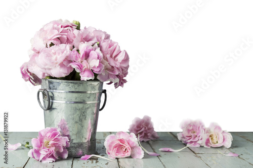 Pink carnation flowers in zinc bucket on white background