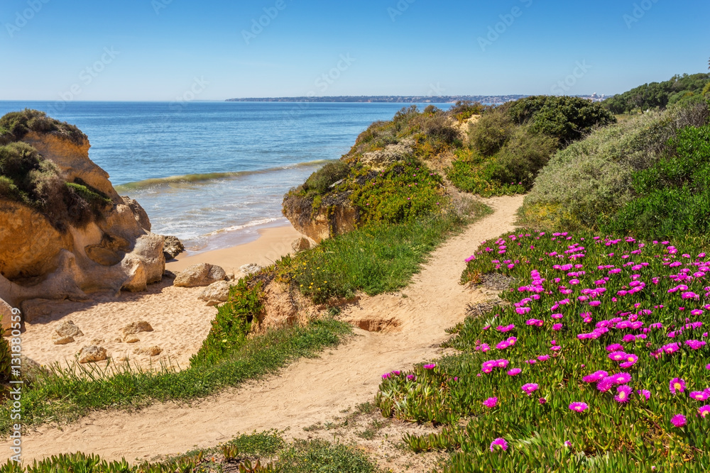 Trail and the spring landscape Albufeira beaches.