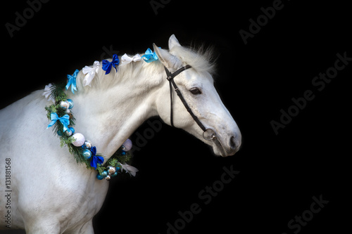 White horse with christmas wreath isolated on black background