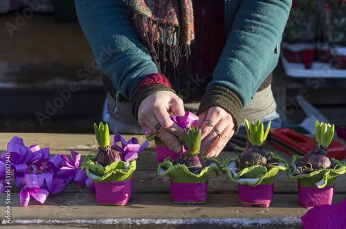 Floristin dekoriert Blumenzwiebel