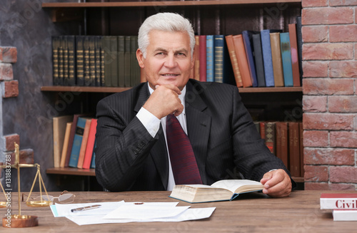 Portrait of mature lawyer w...