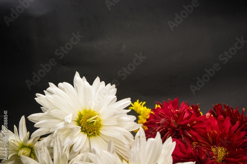 bouquet of colorful autumn flowers