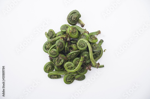 Fiddle heads photo