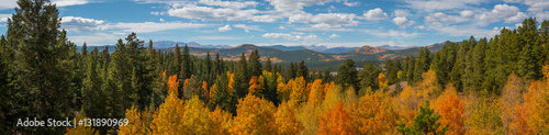 Colorful Tree Top Panorama Near Rocky Mountains National Park 