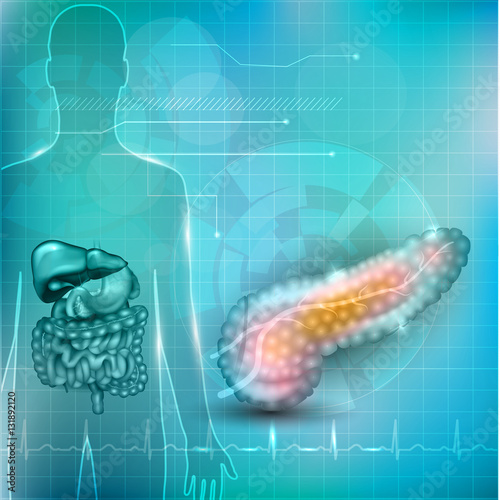 Pancreas anatomy and treatment concept, human silhouette with internal organs, gallbladder, intestine, stomach and spleen on a beautiful abstract background with normal cardiogram at the bottom.