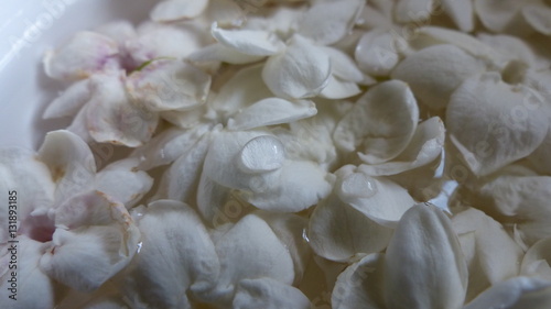 Water on Jasmine Petals