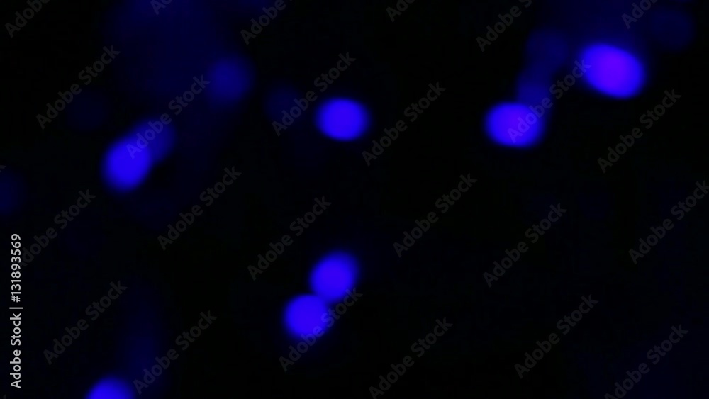 Blurred beautiful discolights background. Blurry out of focus moving lights. Real time full hd video footage.
