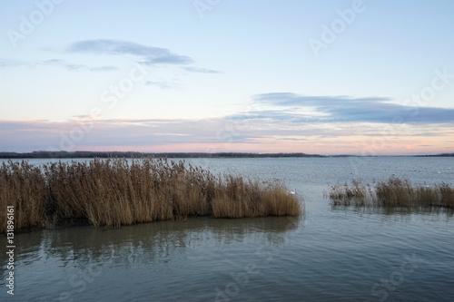 Landscape with waterline, reeds birds and vegetation at sunset 