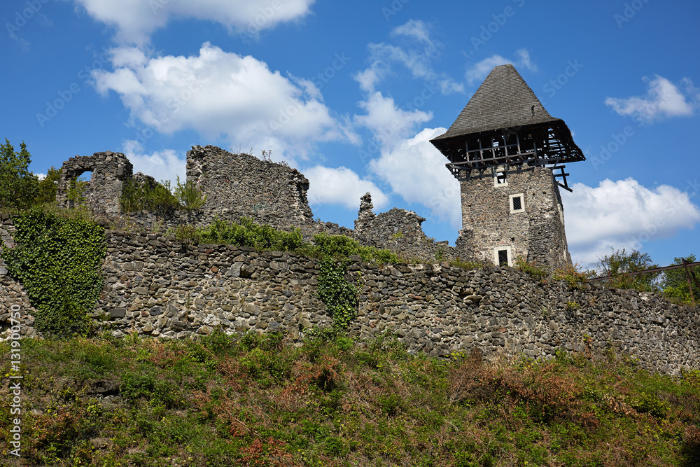 Ruins of the Nevitsky castl.