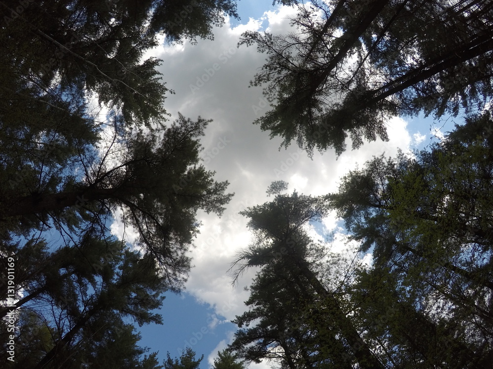 Obraz premium DCIM\100GOPRO\GOPR8217.