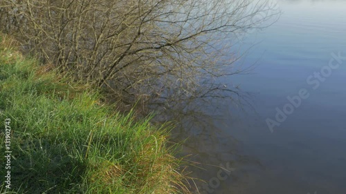 Mist rising from grassy bank in the morning sun at the edge of Chasewater reservoir and nature park in Staffordshire England. photo