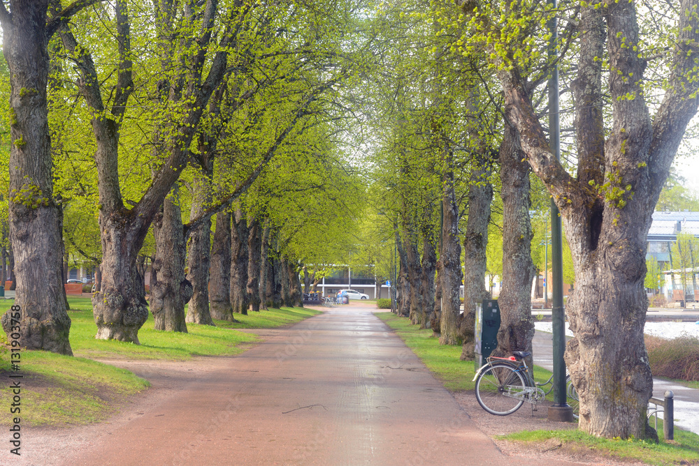 Fototapeta premium Alley in the park in Lappeenranta.