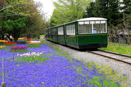 Sapporo train and flower park

