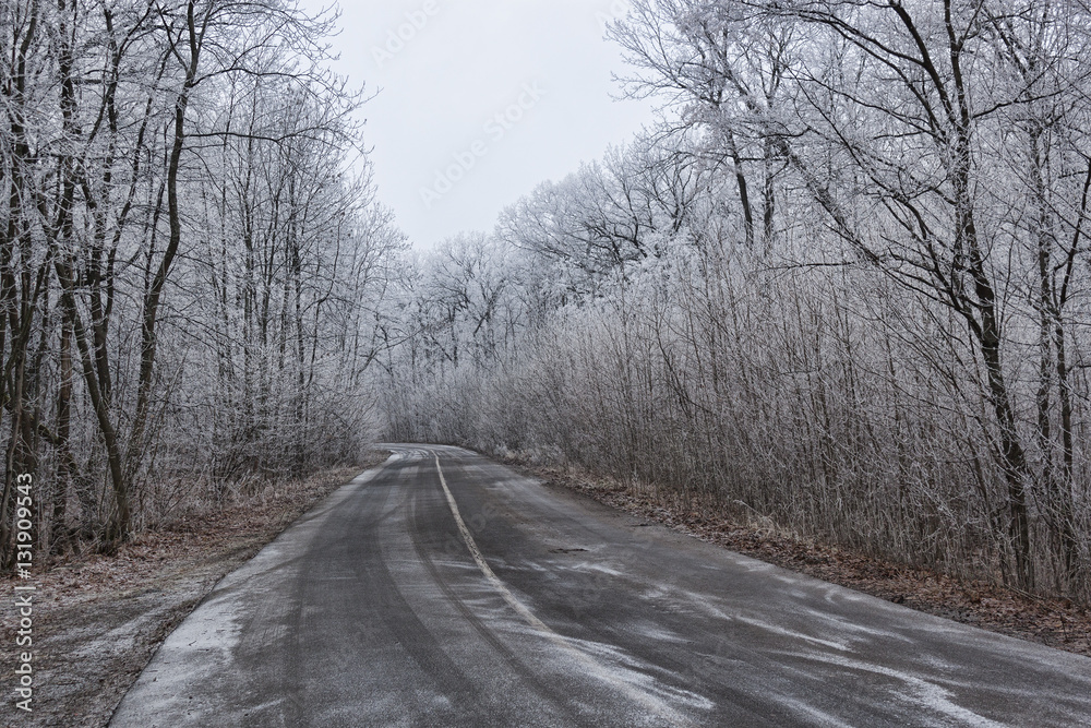 The road through the winter woods