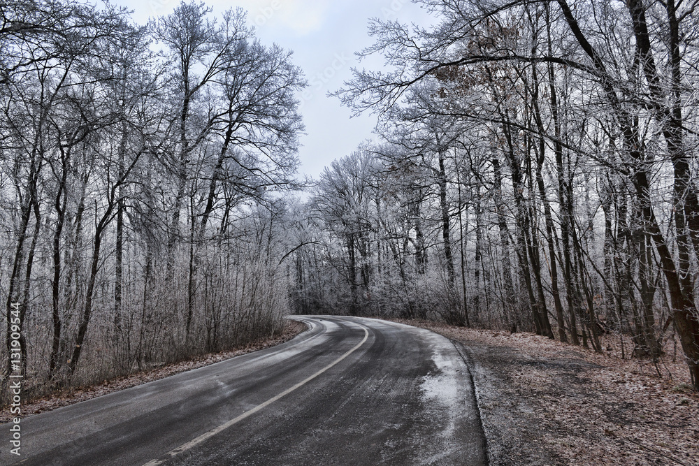 The road through the winter woods