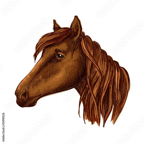 Brown graceful horse with sad eyes portrait