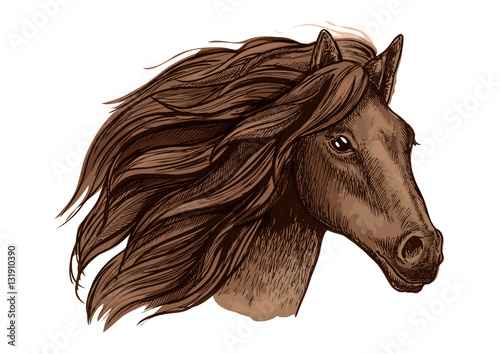 Horse race sport sign. Wild equine mustang running