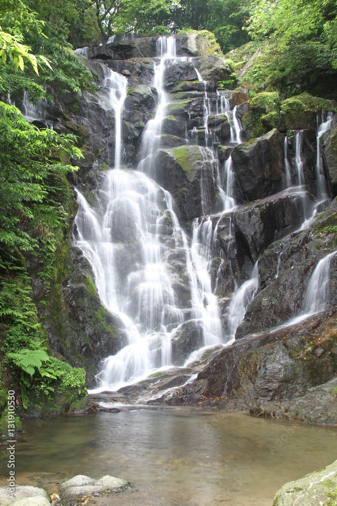 Fototapeta premium 白糸の滝 福岡県