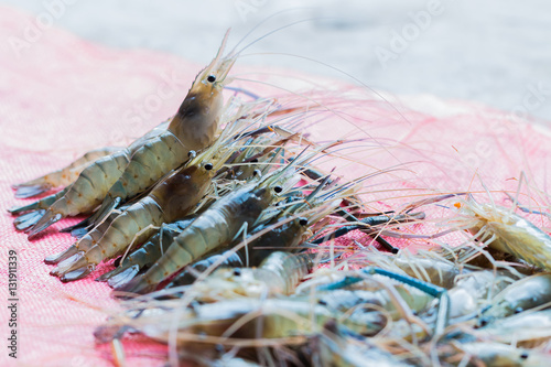 fresh shrimp on sack background