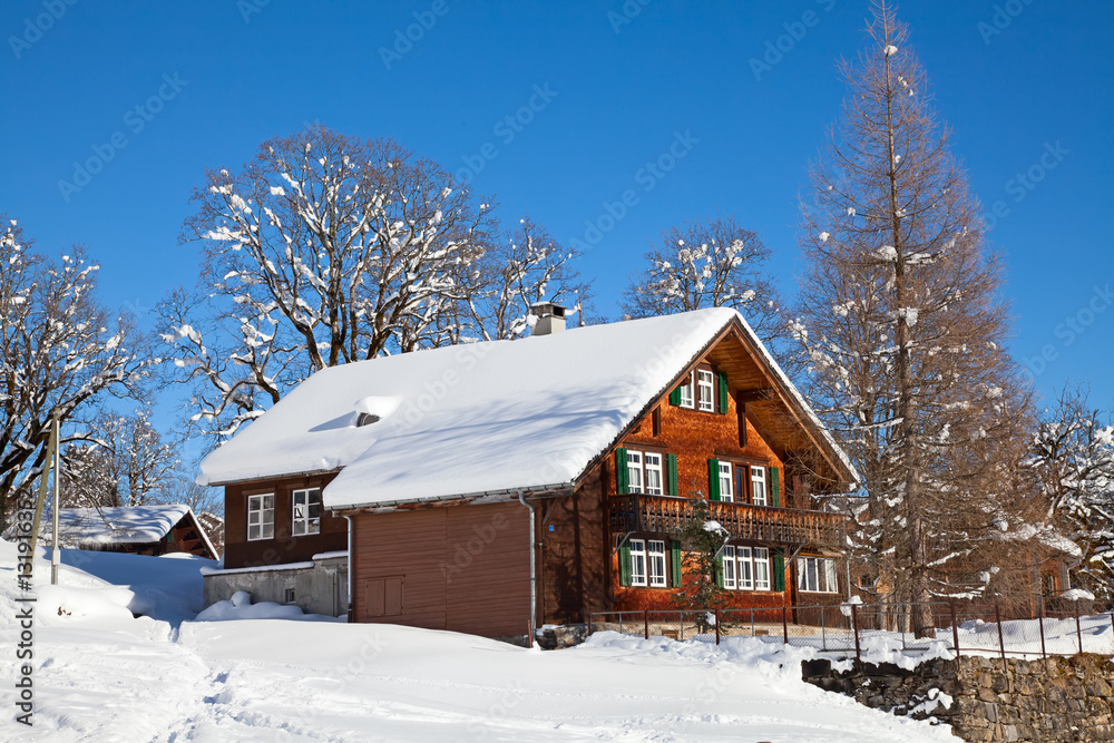 Winter in alps