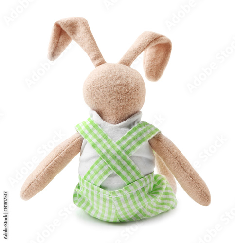 Cute cuddly bunny on white ...