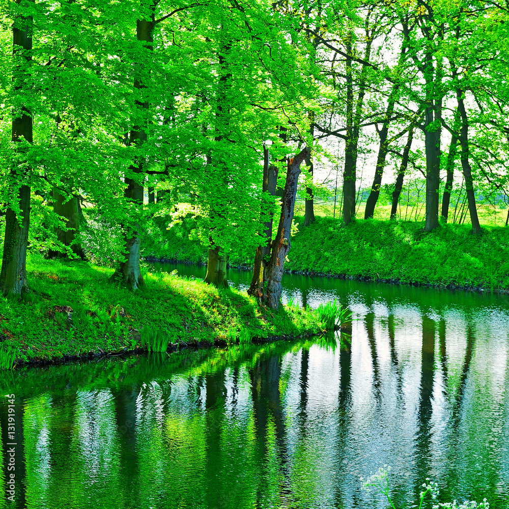 Fototapeta premium Canal