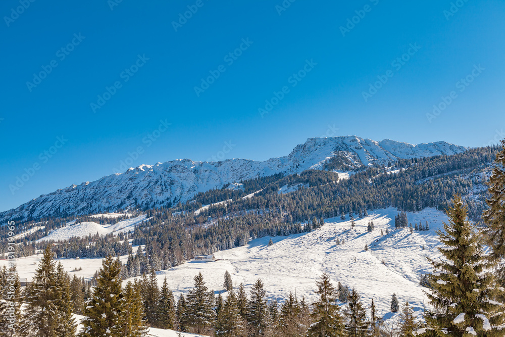 panoramic view of oberjoch in winter (bavaria)