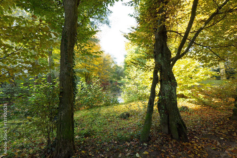 Awesome colorful Park Landscape at Krefeld / Germany Awesome colorful Park Landscape at Krefeld / Germany