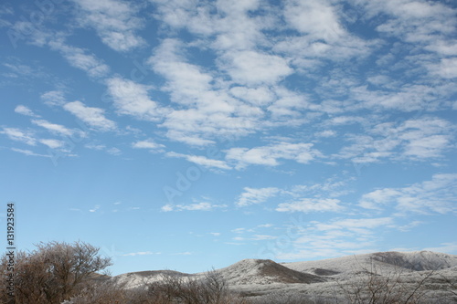 Winter Landscape
