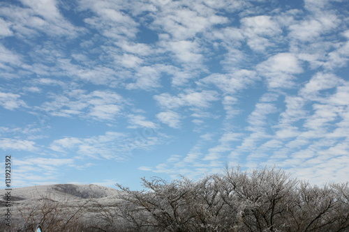 Winter Landscape