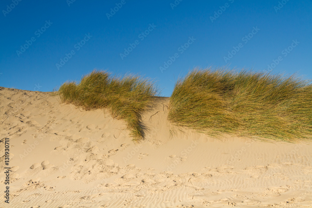 Sand Dunes and Marram Grass