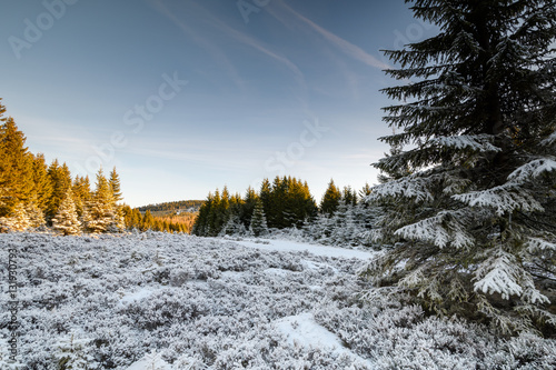 Winterlandschaft Deutschland