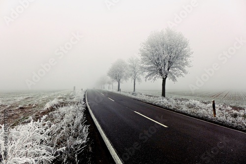 Landstraße im Winter