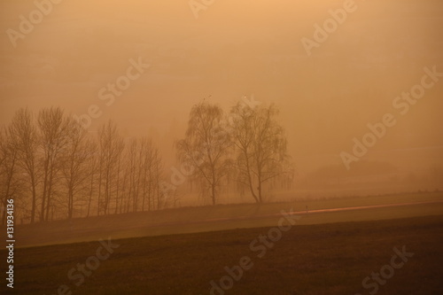 Abendstimmung auf dem Land im Dezember