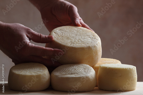 Pecorino cheese - typical product Italia