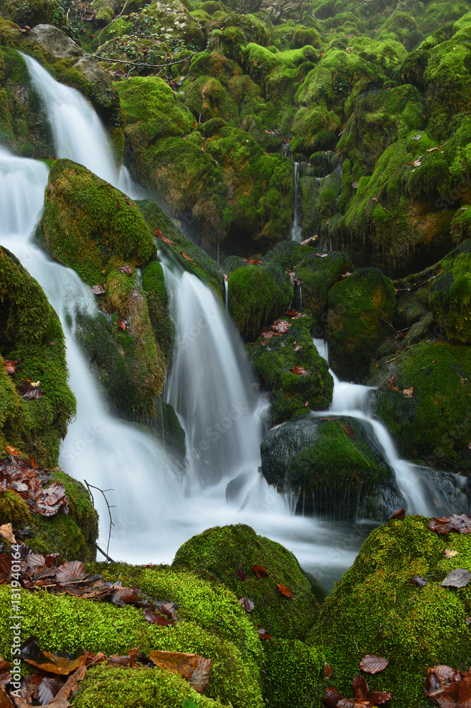 Fototapeta premium Detalle en La Tobería - 6