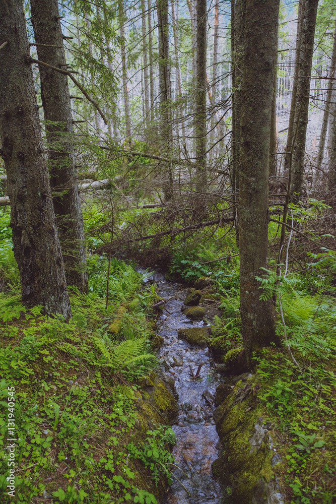 Mountains and meadows with a small creek Mountains and meadows with a small creek