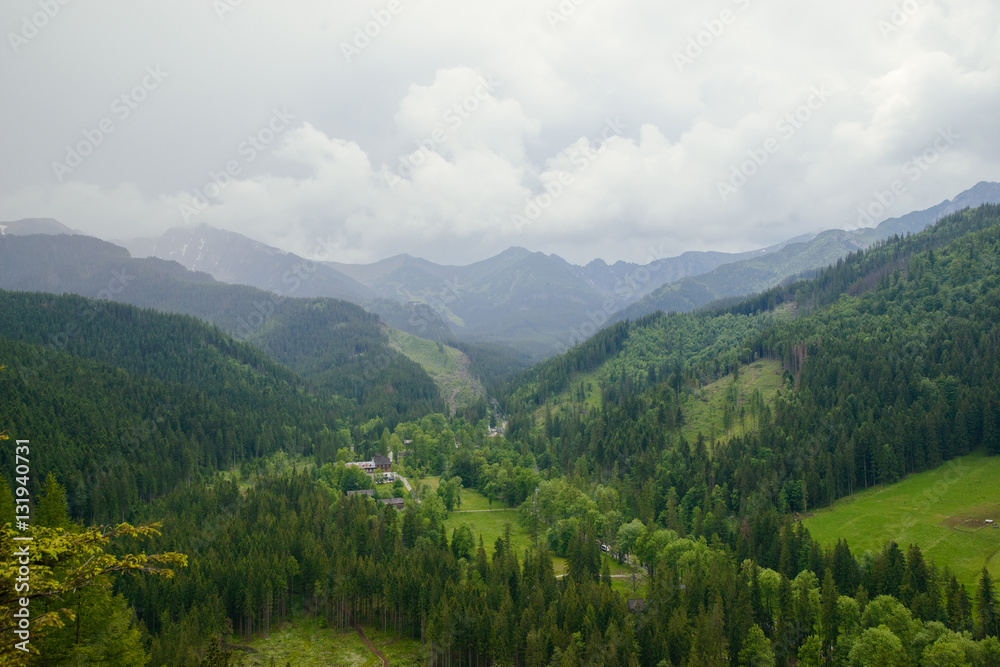Obraz premium Mountain landscape in summer