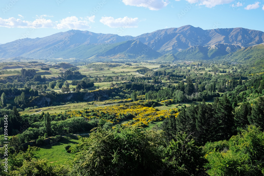 Fototapeta premium View on Speargrass Flat (1)
