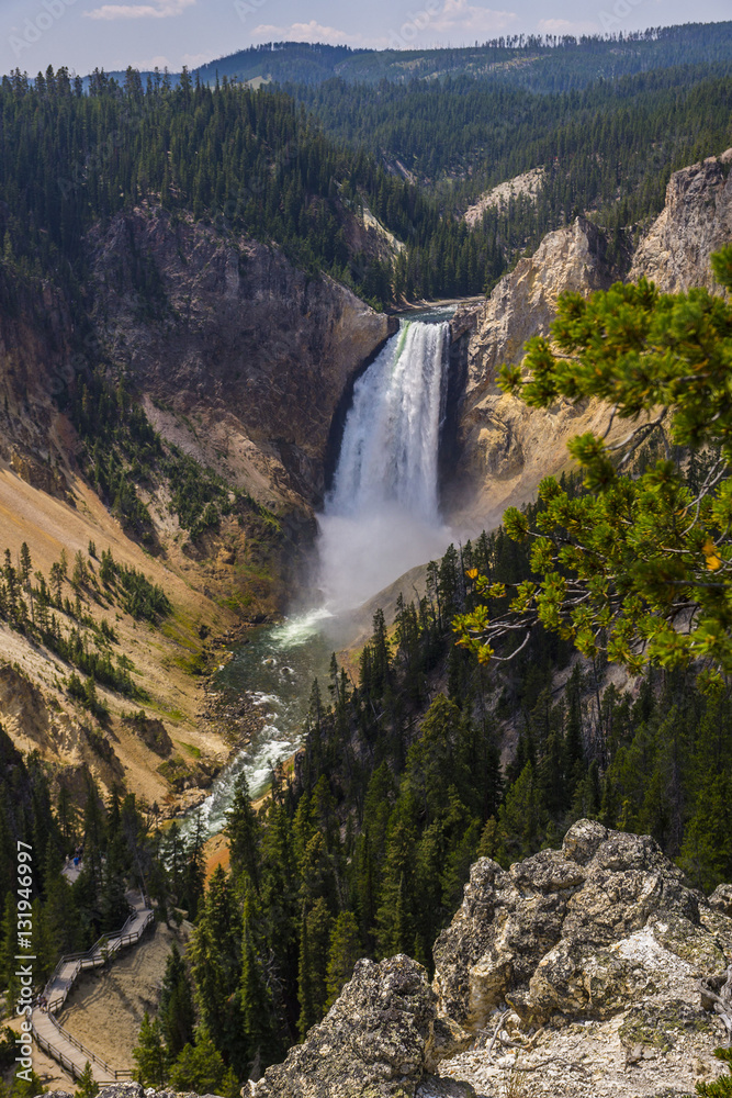 Yellowstone National Park - lower falls Yellowstone National Park - lower falls