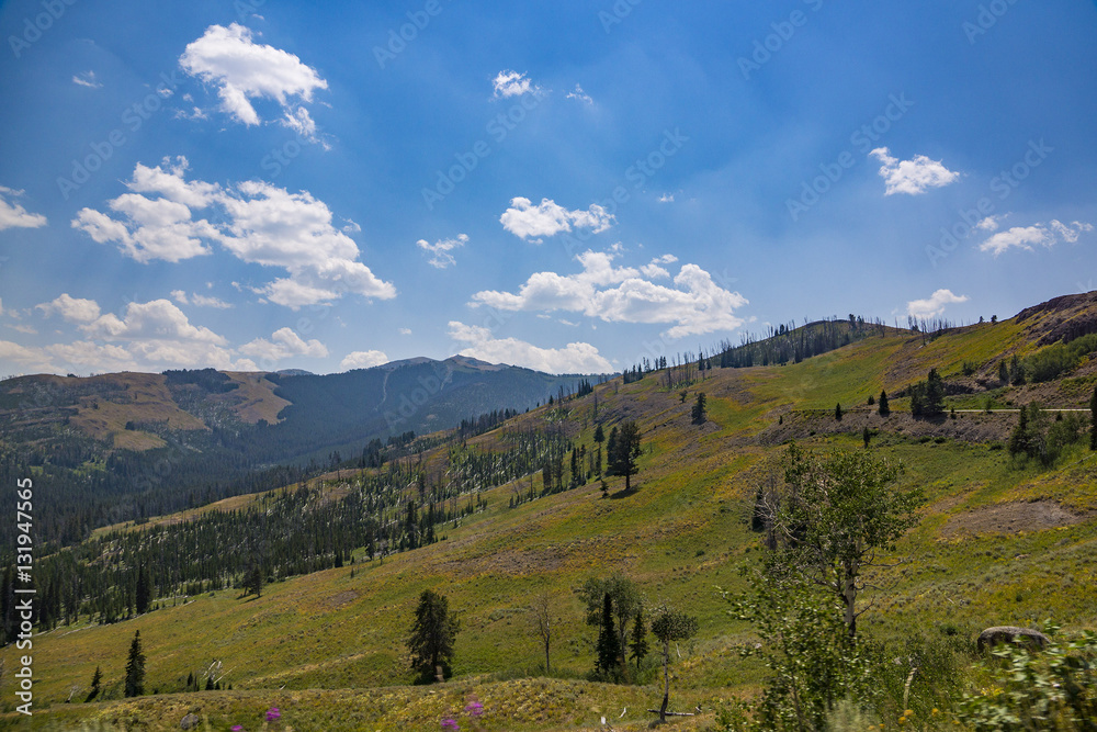 Obraz premium Yellowstone National Park - 