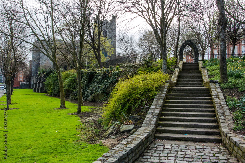 Obraz premium Pigeon in downtown Dublin